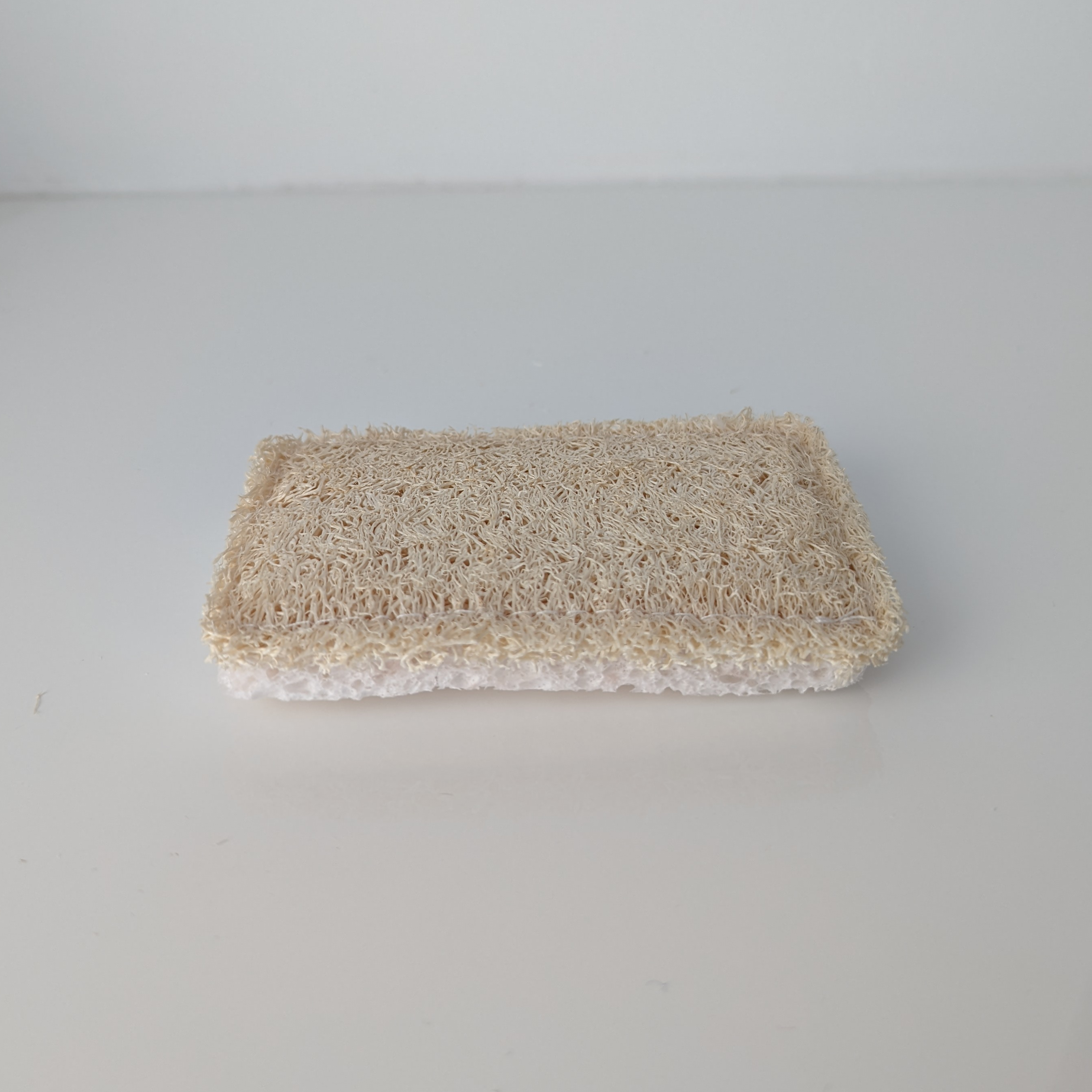 Eco Friendly Kitchen Sponges